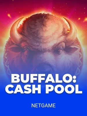Buffalo: Cash Pool